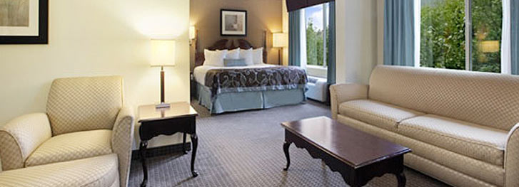 Arlington Hotel Rooms at Wingate by Wyndham Arlington Fun Central Hotel,Texas